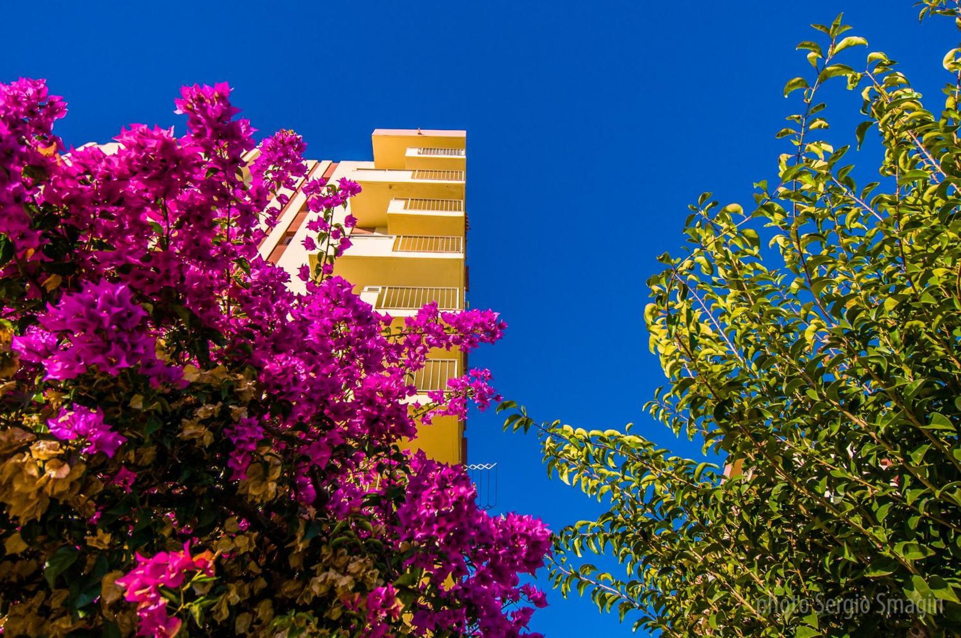 426 Estudio En Minerva Apartamentos - Vista Al Jardin - Piscina Y Playa Benalmádena Zewnętrze zdjęcie