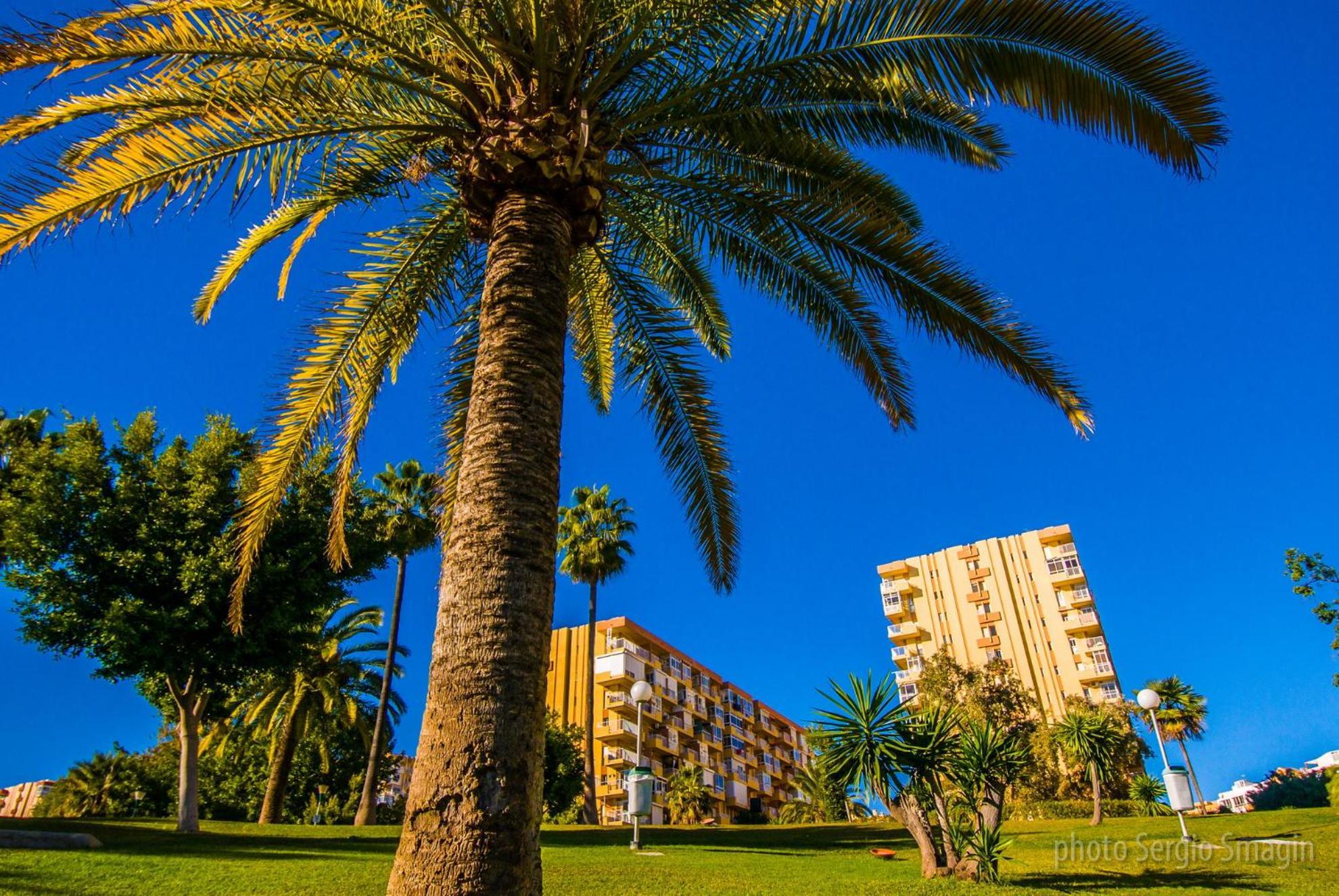 426 Estudio En Minerva Apartamentos - Vista Al Jardin - Piscina Y Playa Benalmádena Zewnętrze zdjęcie